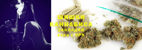 индика Вязьма