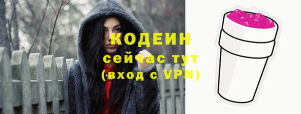 амф Горняк