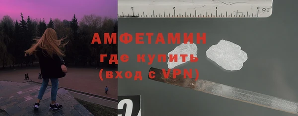 амф Горняк