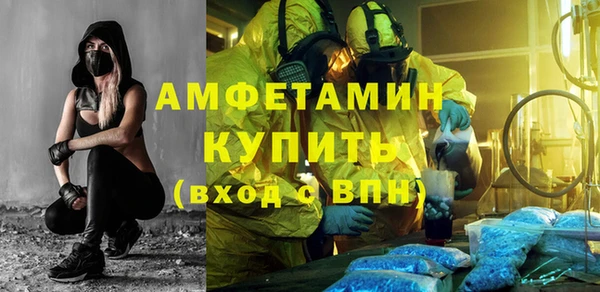 амф Горняк