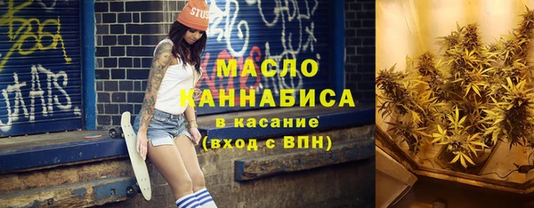 амф Горняк