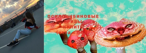 амф Горняк