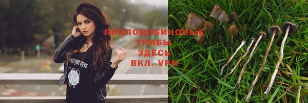амф Горняк